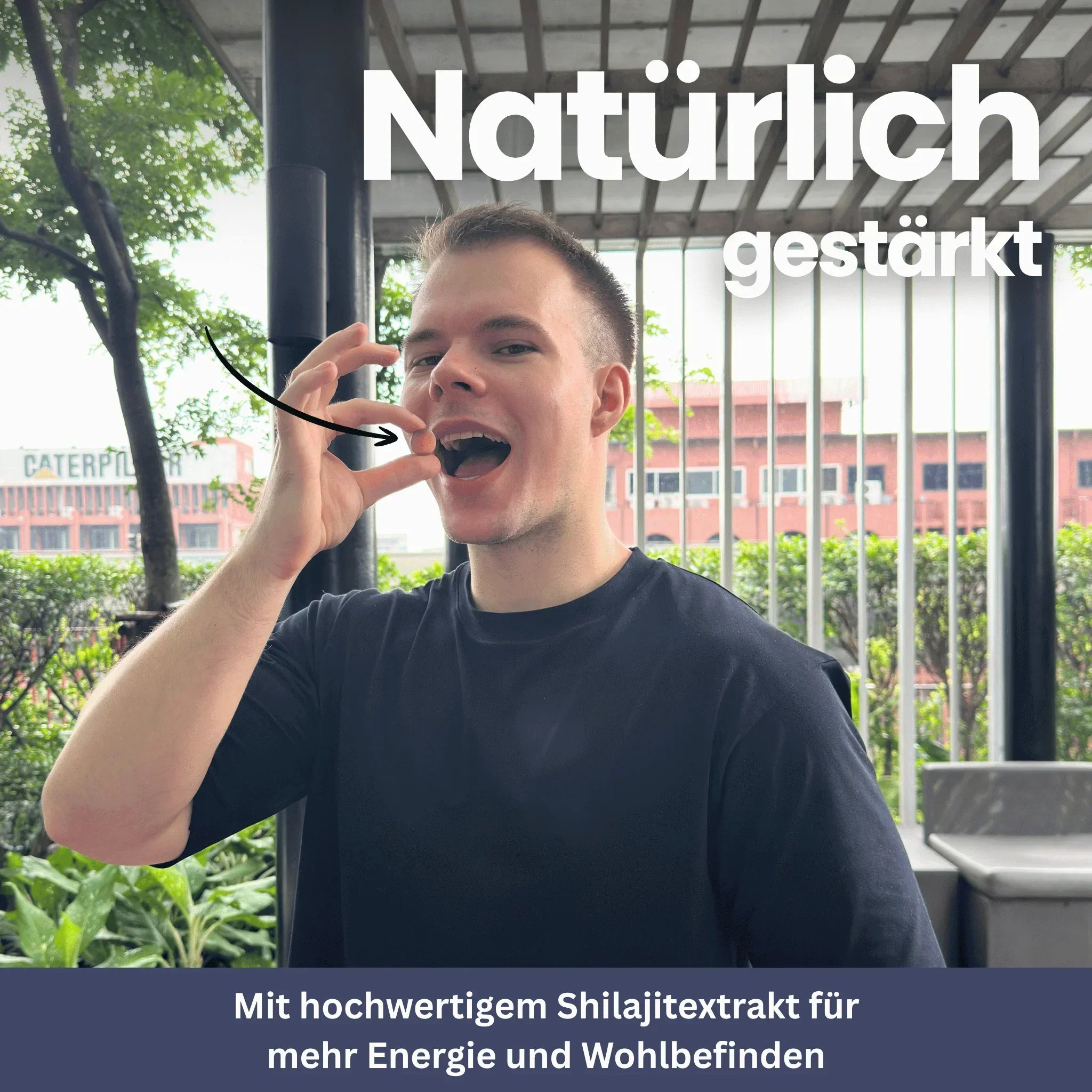 Shilajit Gold Gummis