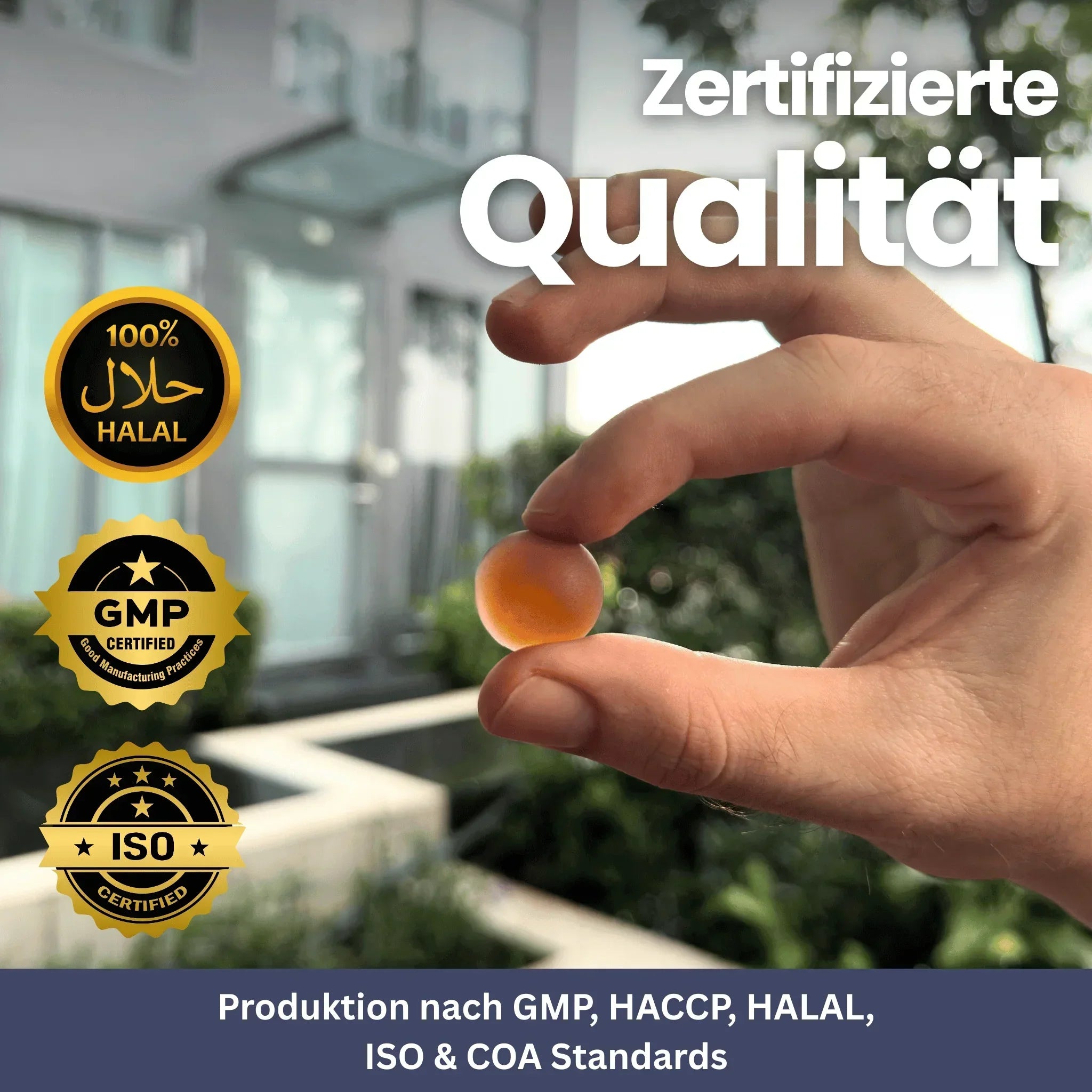 Shilajit Gold Gummis