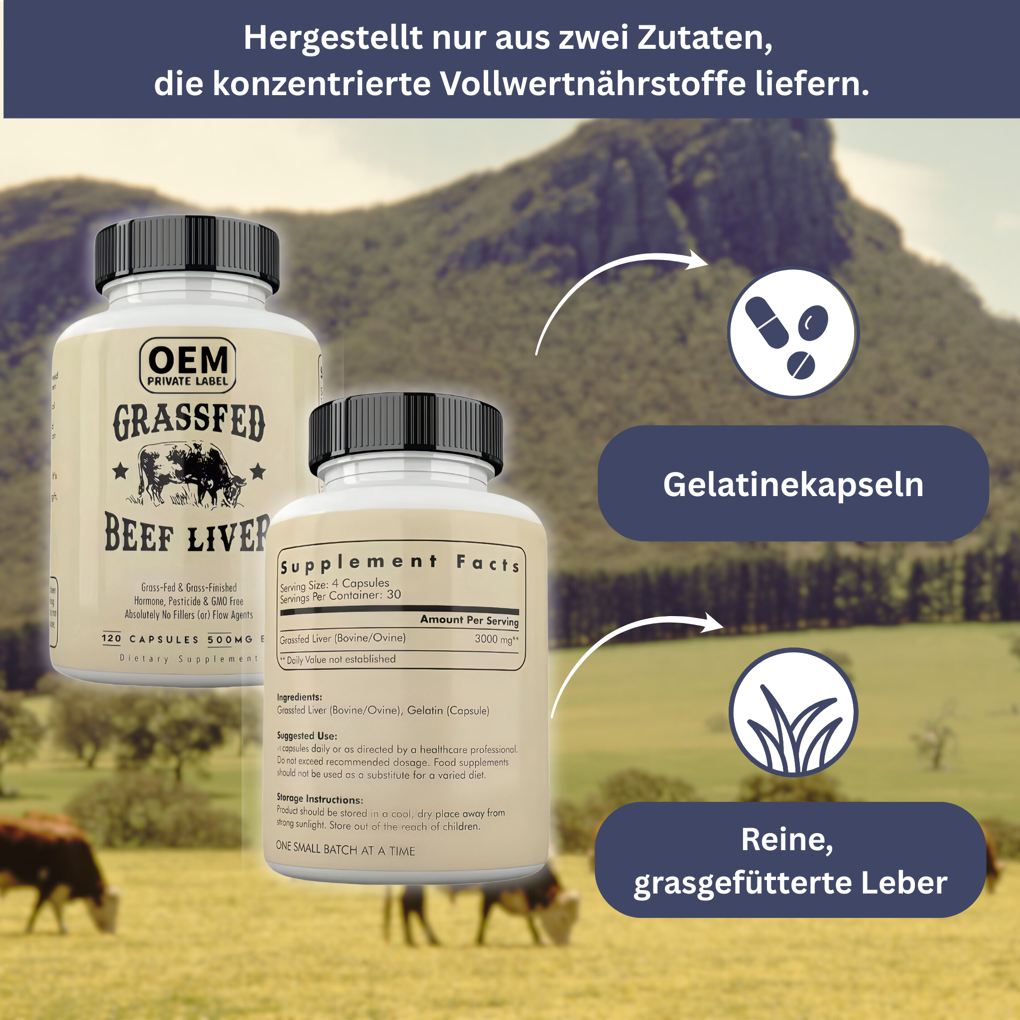 Rinderleber-Kapseln – Energie & Vitalität