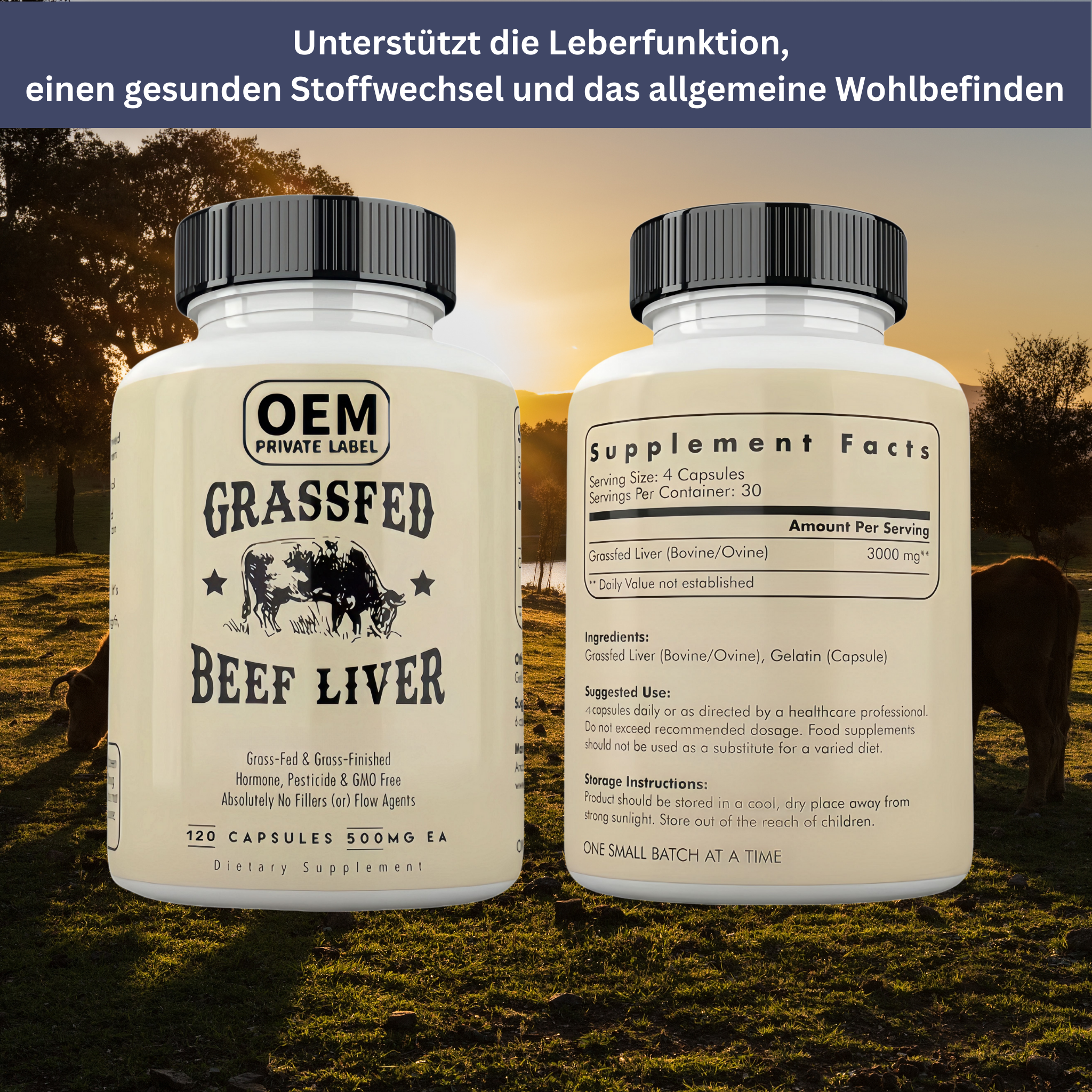 Rinderleber-Kapseln – Energie & Vitalität
