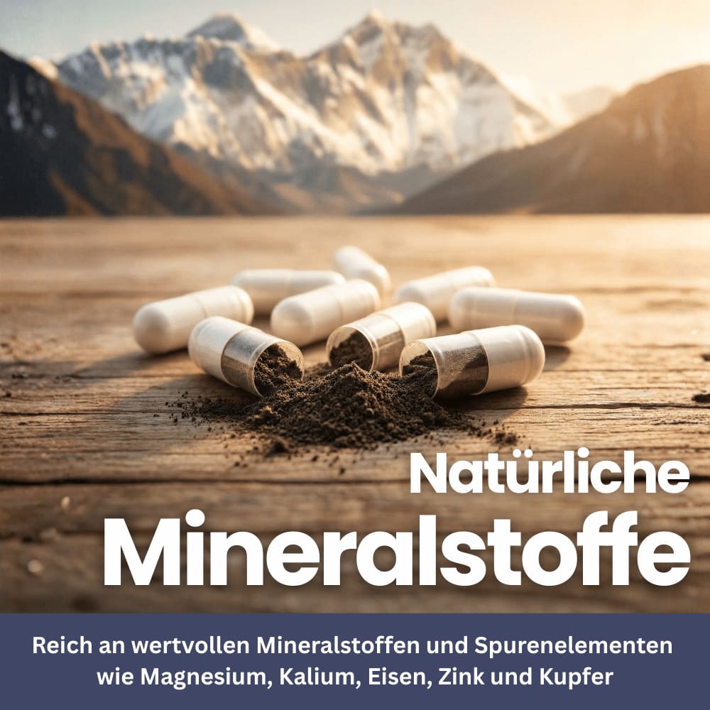 Shilajit Vital – Natürliche Mineralformel (Kapseln)